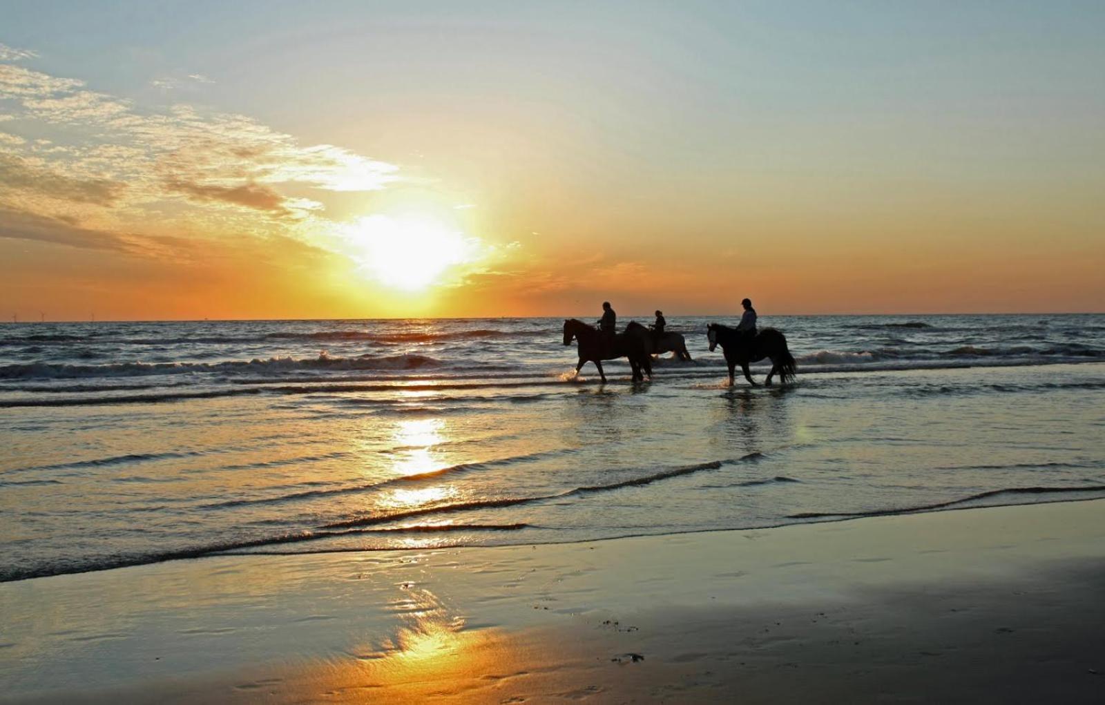 Mer Et Soleil A Blonville Sur Mer/ Deauville Екстериор снимка